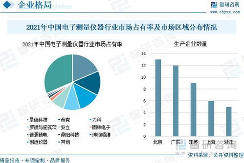 中國電子測(cè)量儀器行業(yè)市場(chǎng)分析、前景趨勢(shì)預(yù)測(cè)與技術(shù)服務(wù)的綜合展望